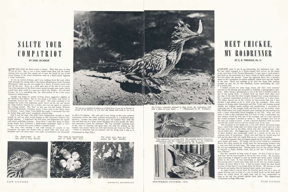 The Road-runner is the state bird of New Mexico.