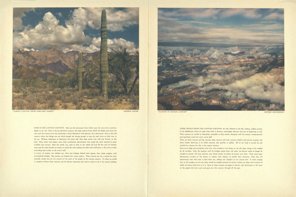 "SABINO CANYON FROM SAHUARO FOREST"