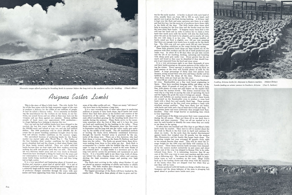 Mountain ranges afford grazing for breeding herds in summer before the long trek to the southern valleys for lambing.