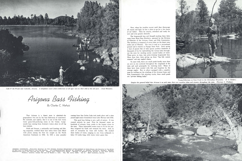 Lake O' the Woods near Lakeside, Arizona. A delightful resort where fishermen of all ages can try their skill at the old sport.