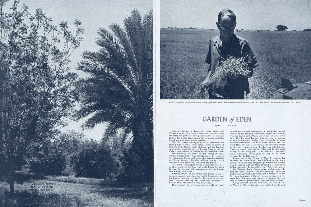 Yuma Valley dates, citrus, and pecans produce rich crops
