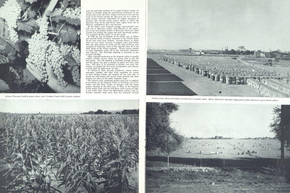 Year-round Farming | Arizona Highways