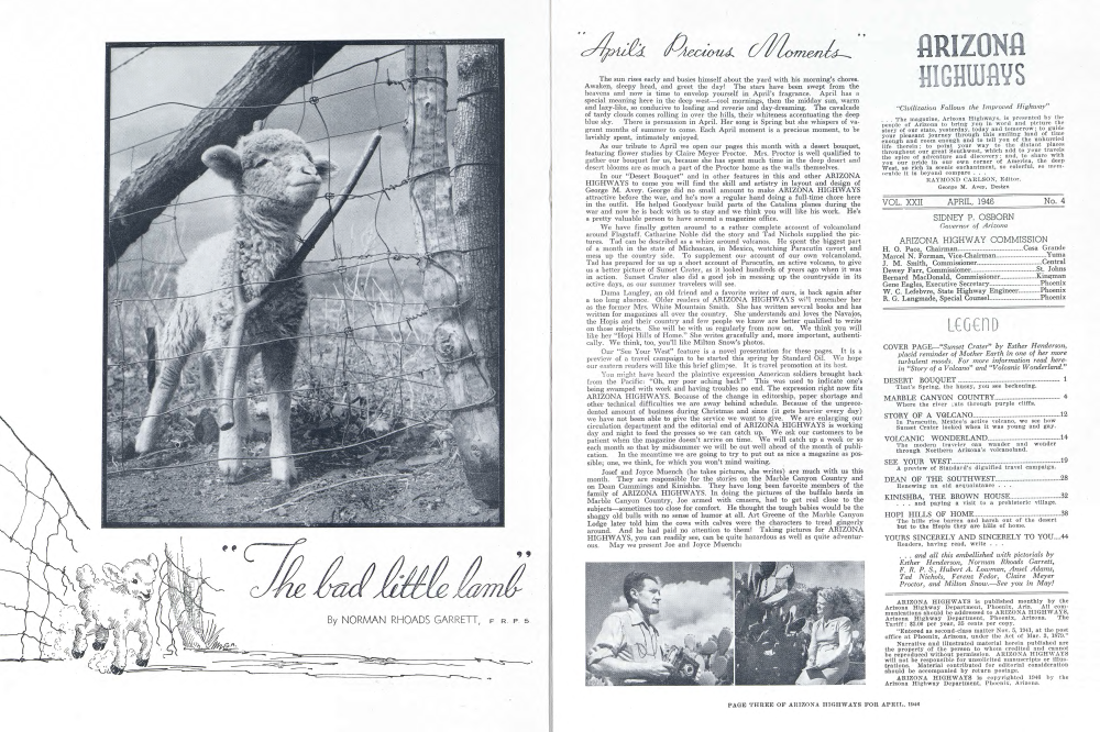 "The bad little lamb"