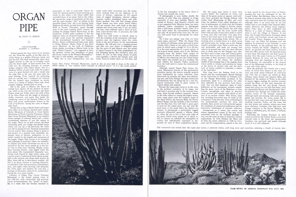 Organ Pipe Cactus National Monument, south of Ajo, an area half as large as the state of Rhode Island, is "our nation's finest example of arboreal desert." It is a vast cactus garden.