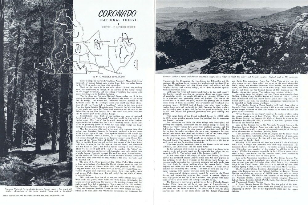 Coronado National Forest, despite location in arid country, has much tall timber. Attractions of the forest stretch “from hell to berakfast.”