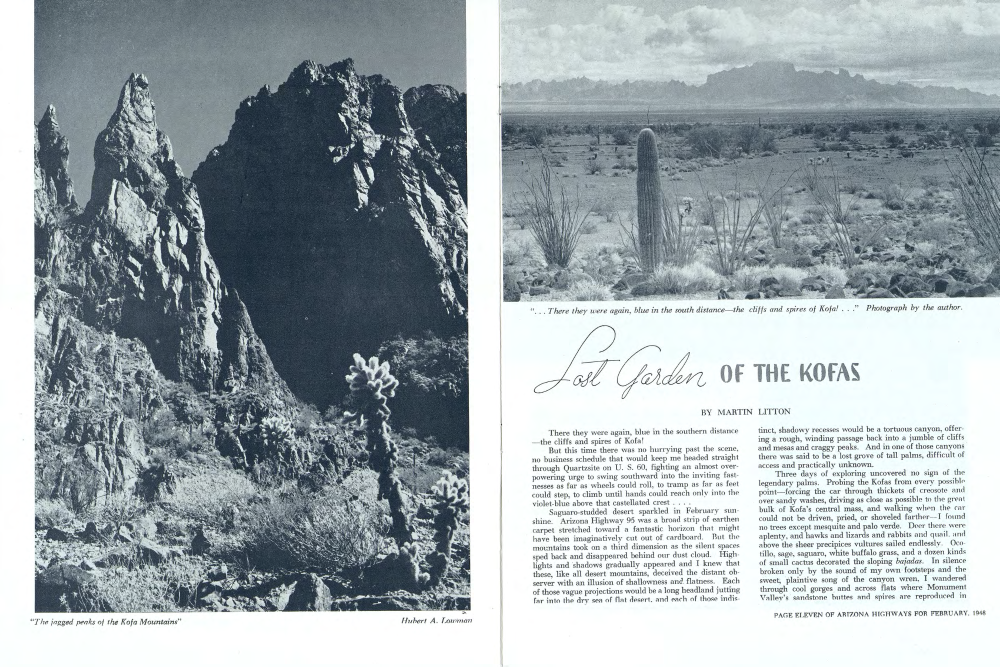 "The jagged peaks of the Kofa Mountains"