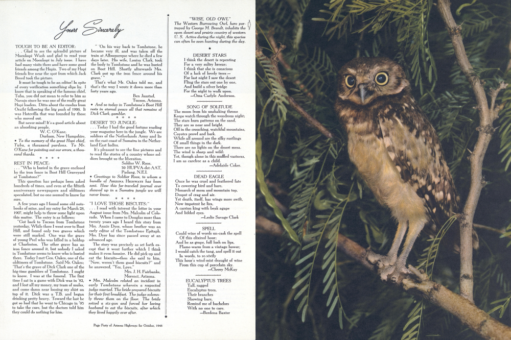 "WISE, OLD OWL"