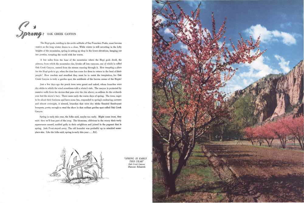 "SPRING IS EARLY THIS YEAR"
Oak Creek Canyon
Duncan Edwards