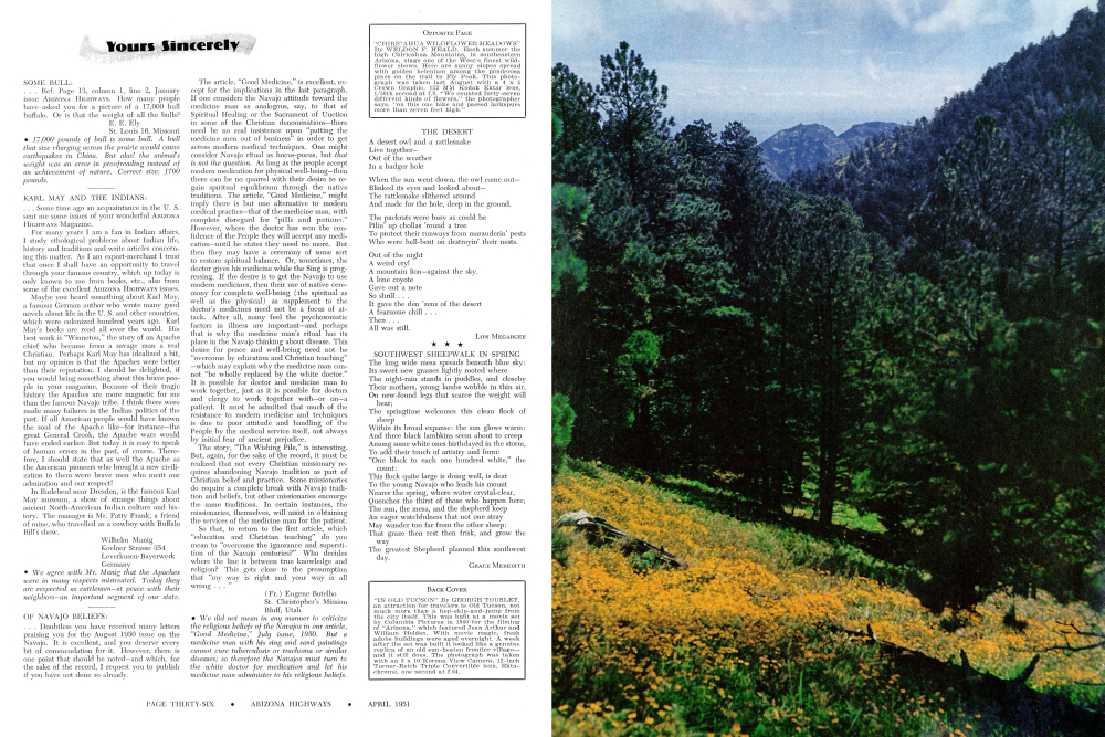 "CHIRICAHUA WILDFLOWER MEADOWS"