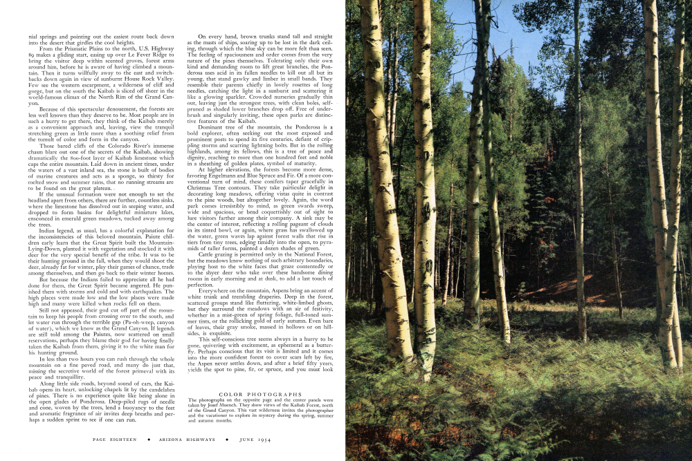 Josef Muench