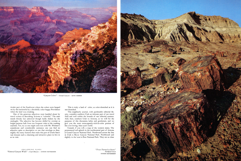 "Canyon Colors" - Grand Canyon