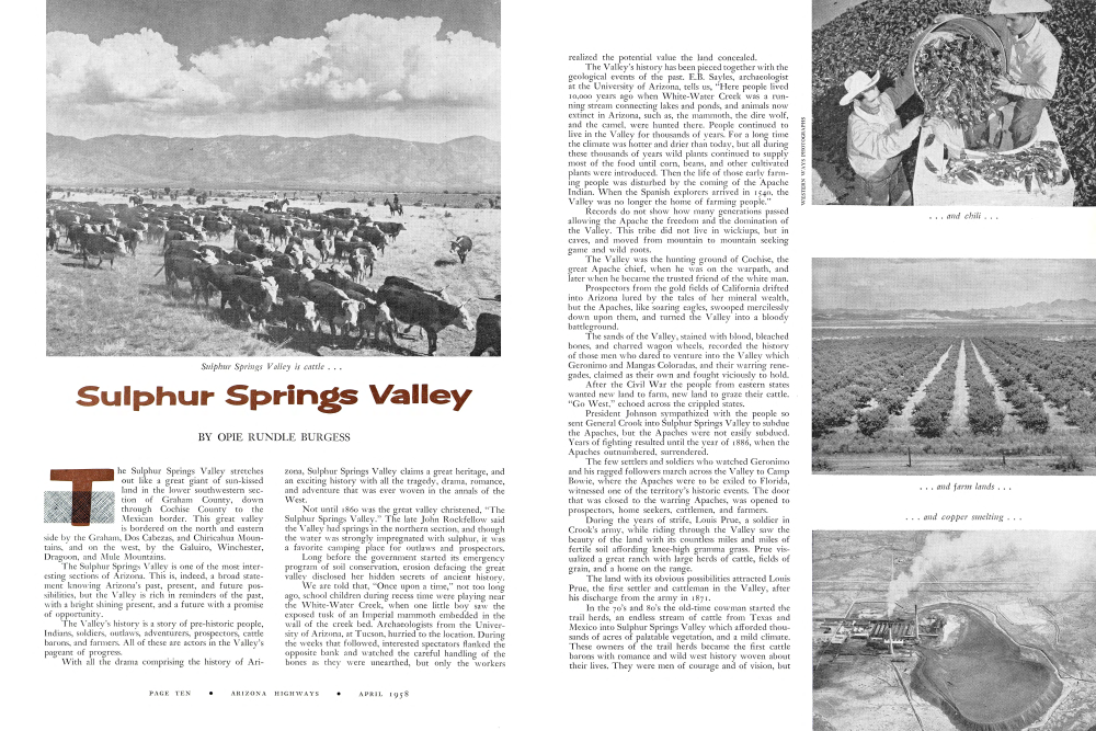 Sulphur Springs Valley is cattle