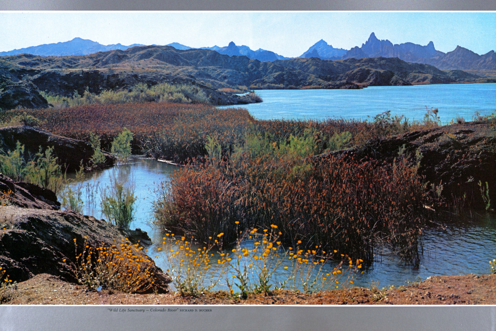 Wild Life Sanctuary - Colorado River