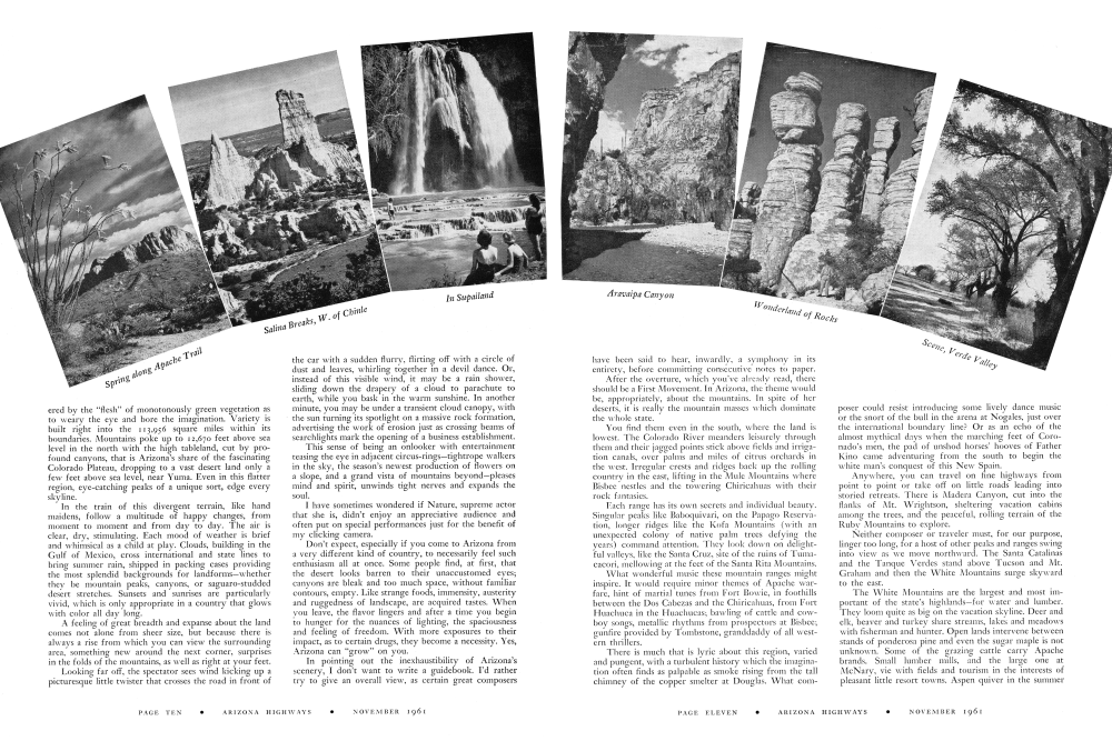 Spring along Apache Trail