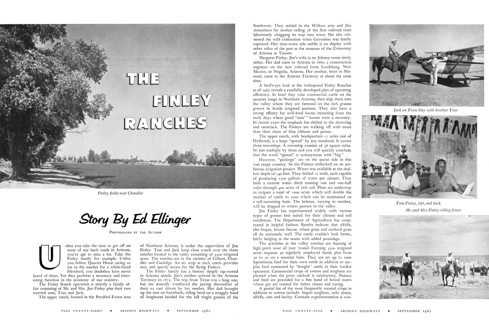 Finley fields near Chandler