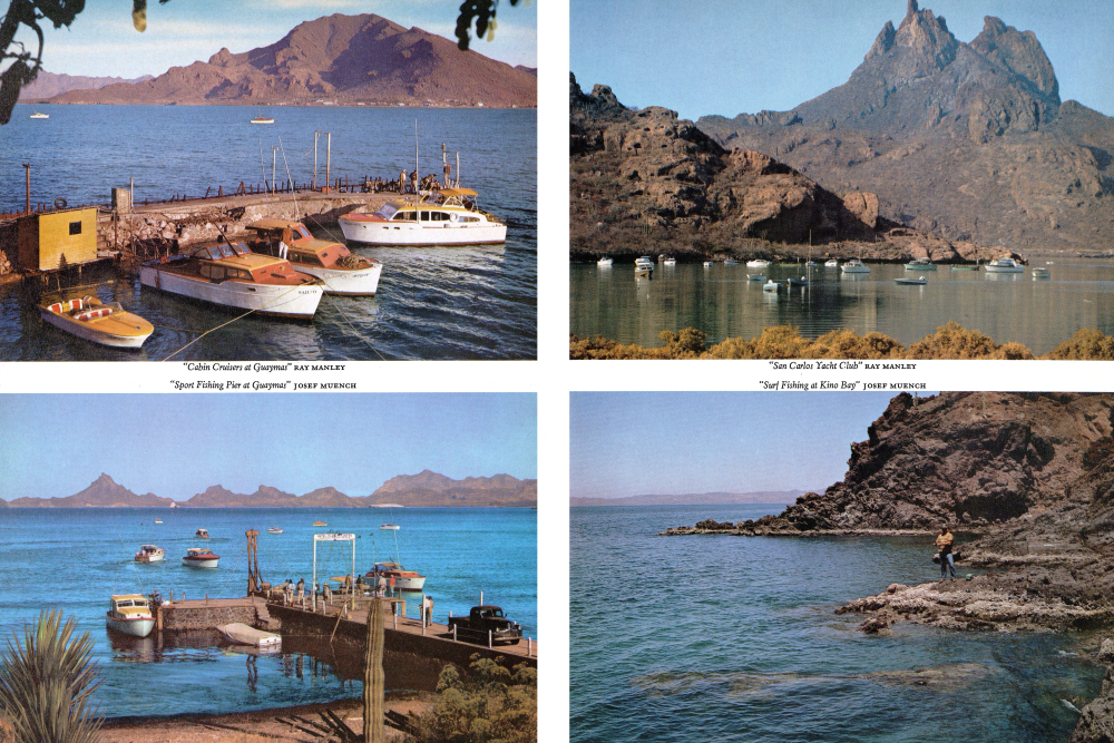 Cabin Cruisers at Guaymas