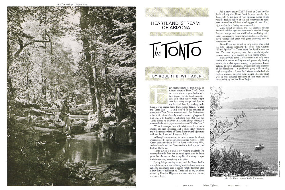 The Tonto sings a happy song