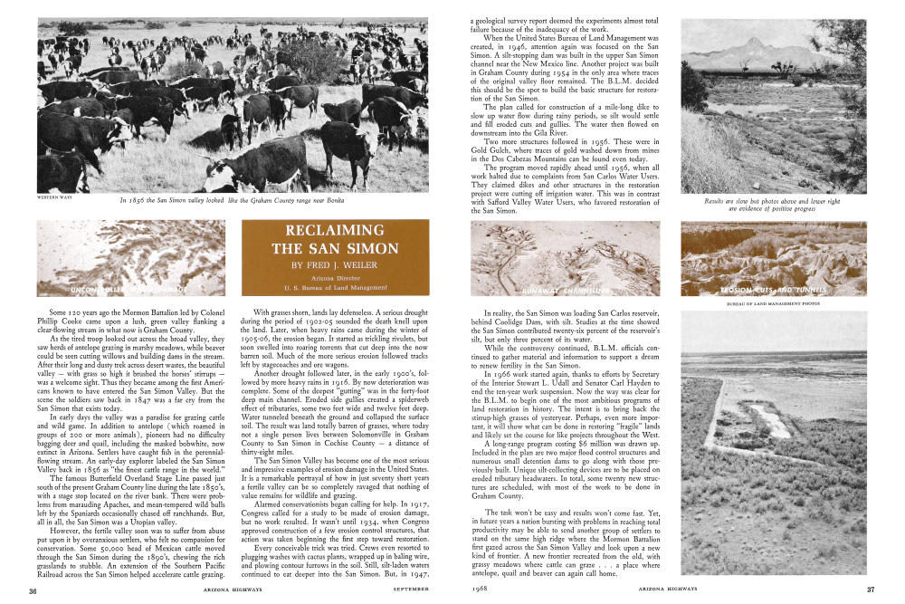 In 1856 the San Simon valley looked like the Graham County range near Bonita