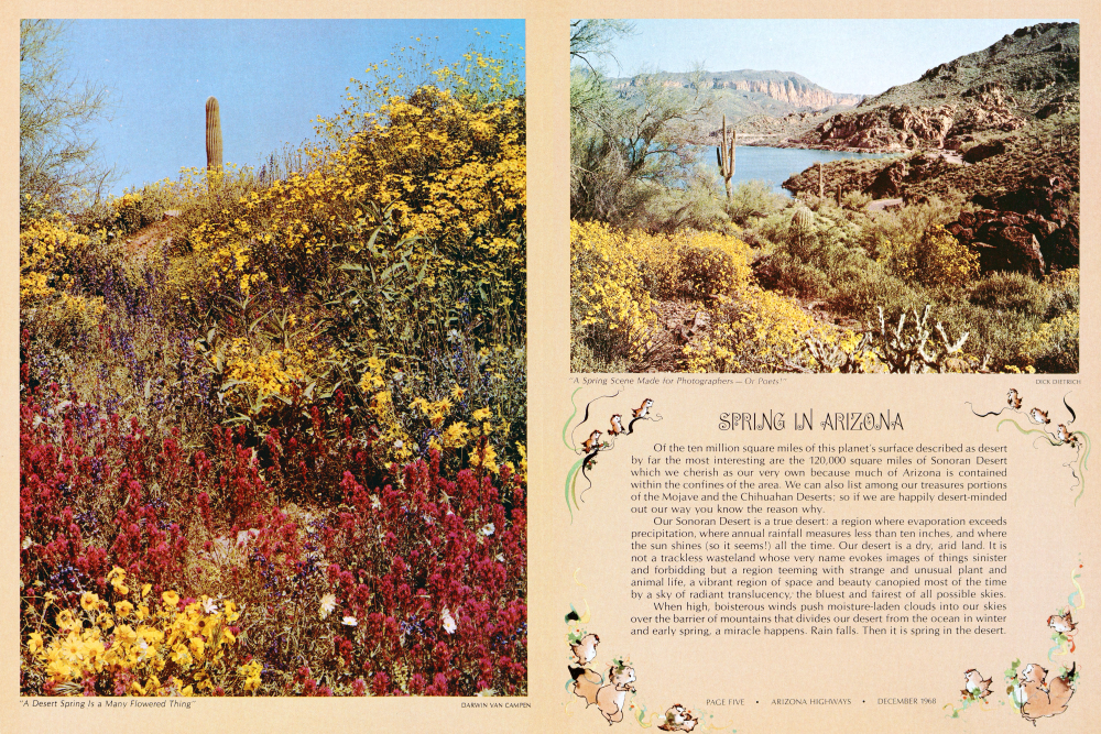 Spring in Arizona | Arizona Highways