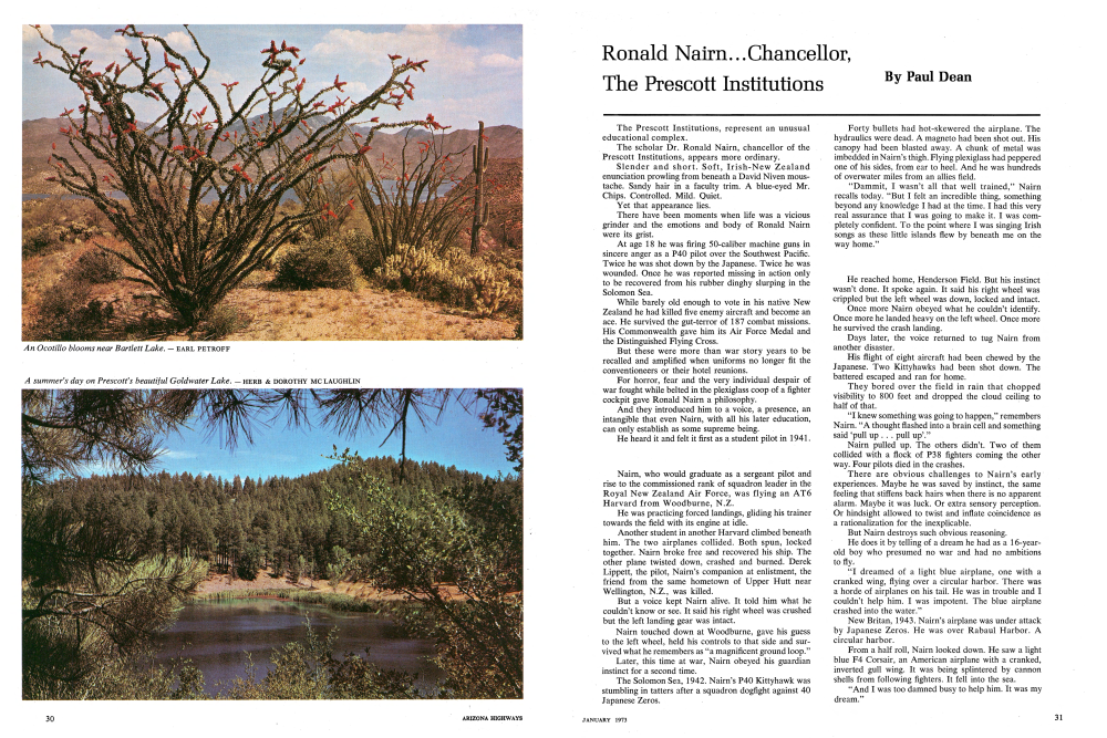 An Ocotillo blooms near Bartlett Lake.