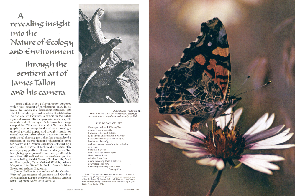 Butterfly and Gaillardia.
