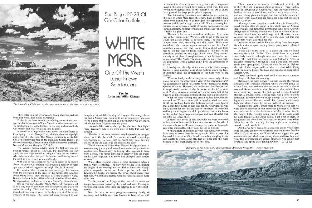 The Vermillion Cliffs, part of the color and drama of the area.