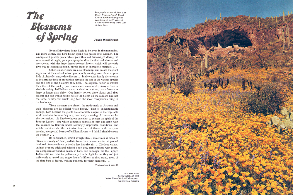 Spring palette of gold