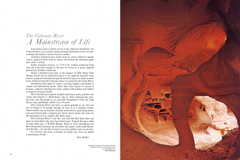 Beautifully delicate are these cavernous sandstone forms in the Valley of Fire, Nevada State Park.