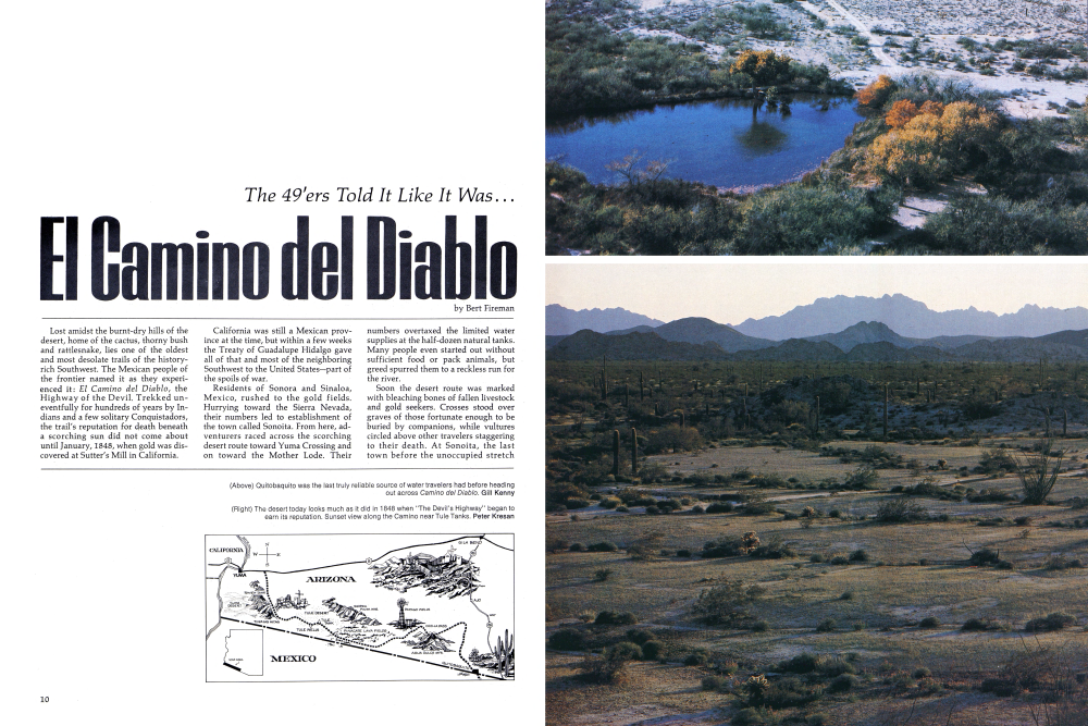 Quitobaquito was the last truly reliable source of water travelers had before heading out across Camino del Diablo.