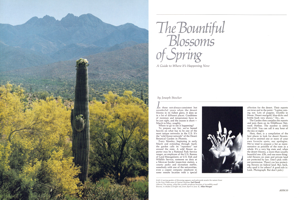 The Bountiful Blossoms of Spring | Arizona Highways