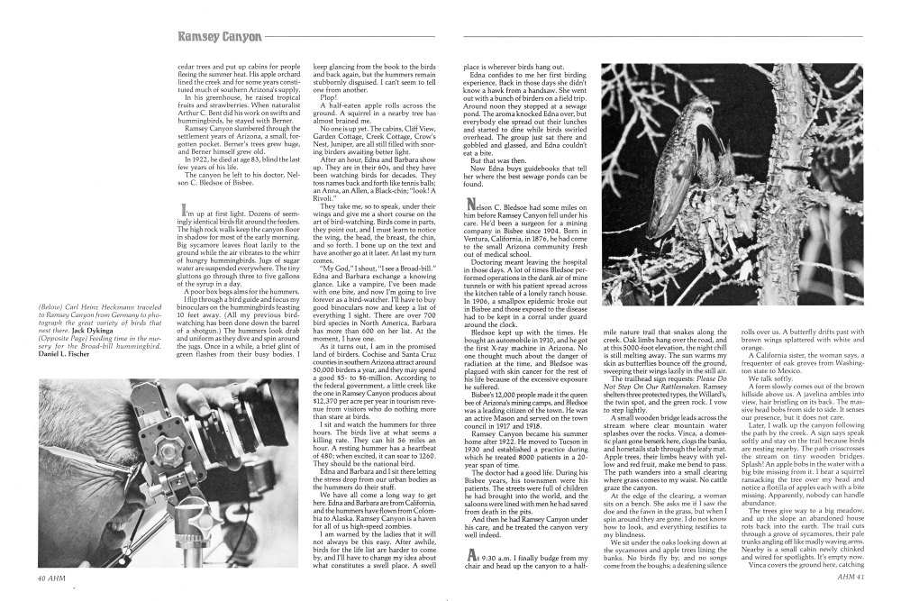 Feeding time in the nursery for the Broad-bill hummingbird.
