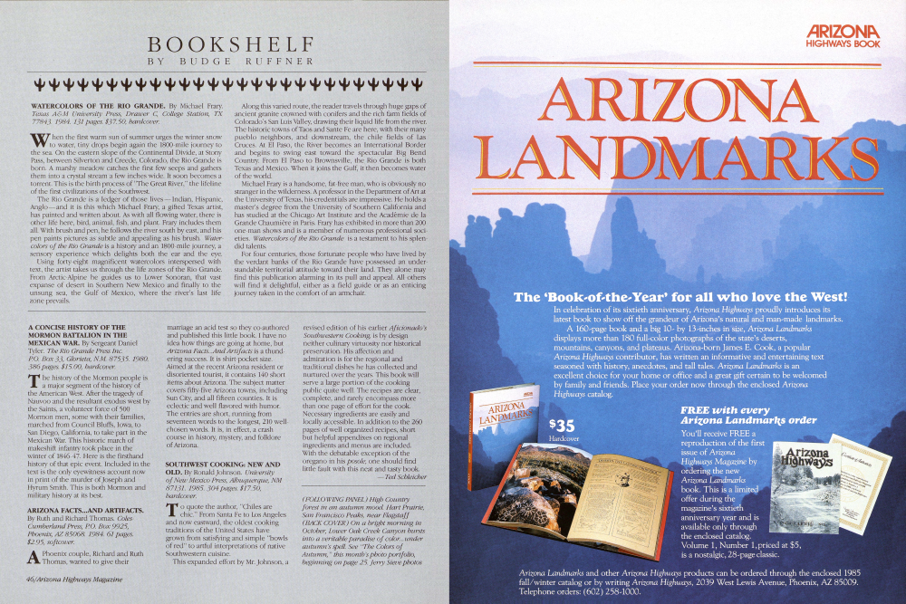 High Country forest in an autumn mood. Hart Prairie, San Francisco Peaks, near Flagstaff