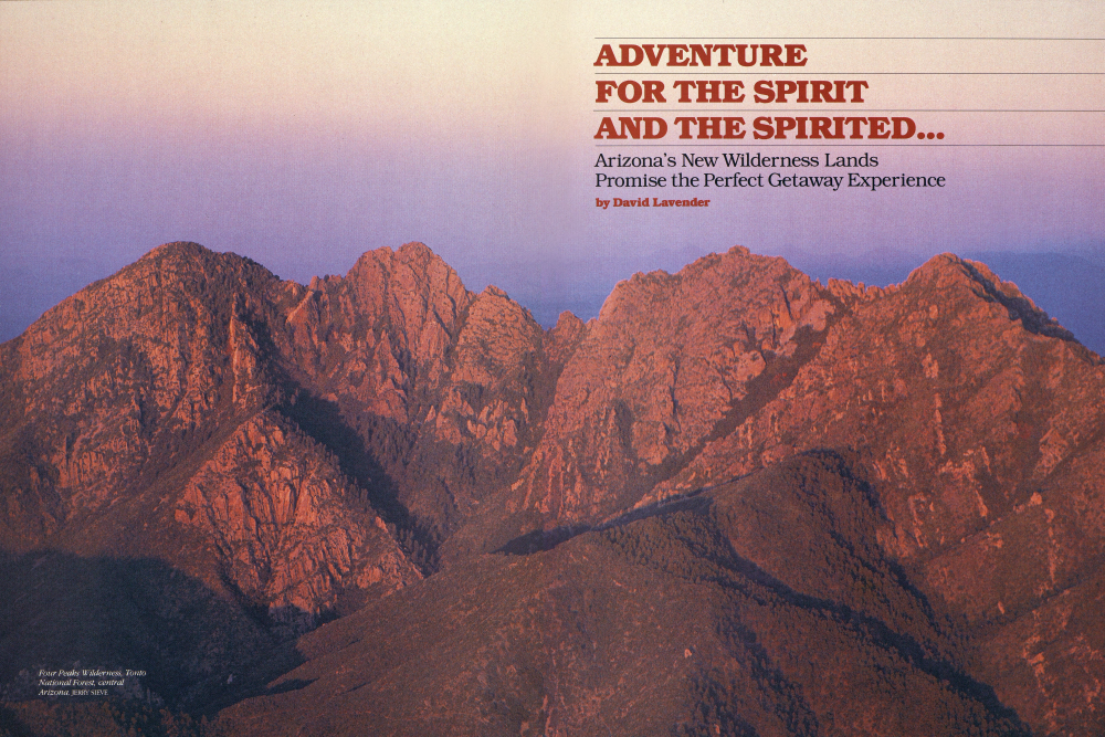 Four Peaks Wilderness, Tonto National Forest, central Arizona
