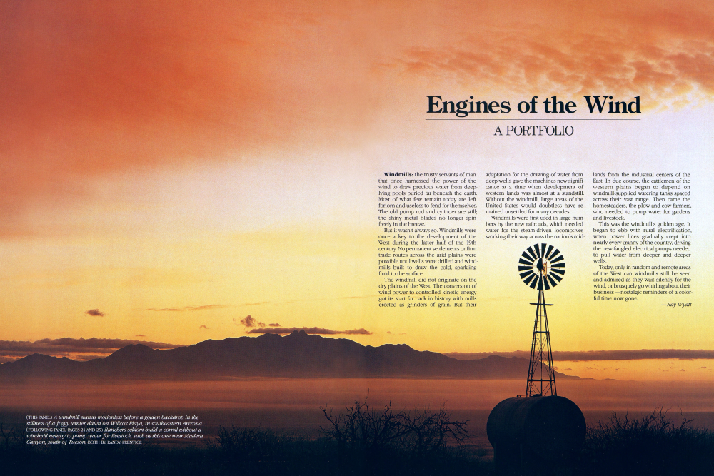 A windmill stands motionless before a golden backdrop in the stillness of a foggy winter dawn on Willcox Playa, in southeastern Arizona. Ranchers seldom build a corral without a windmill nearby to pump water for livestock, such as this one near Madera Canyon, south of Tucson.