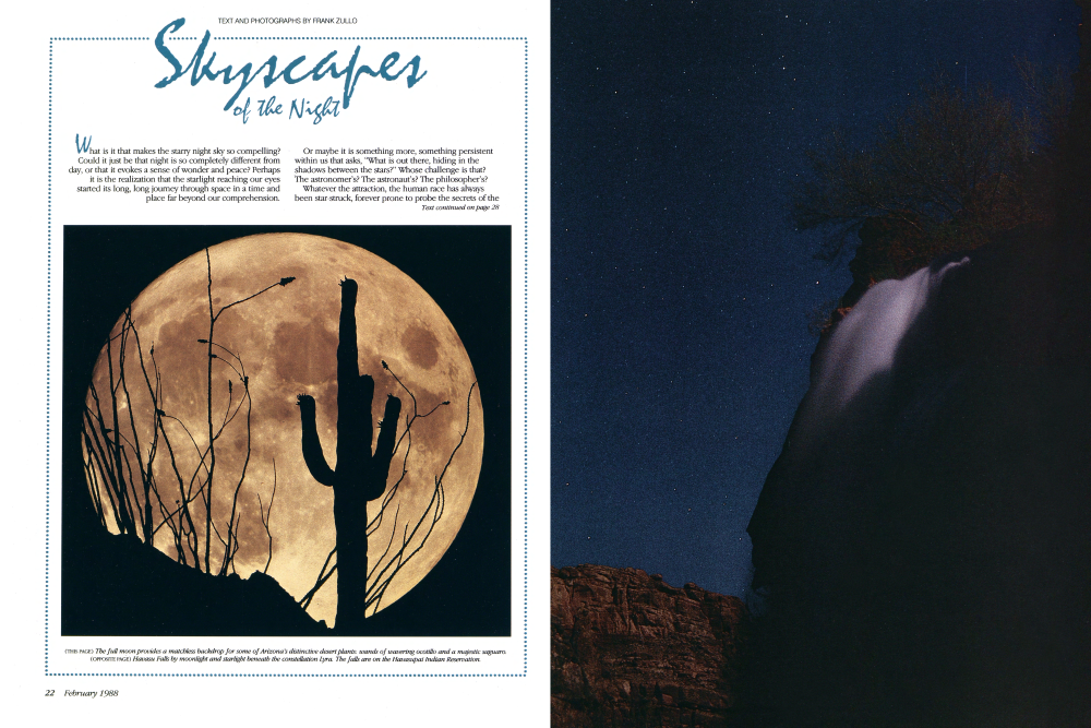 The full moon provides a matchless backdrop for some of Arizona's distinctive desert plants: wands of wavering ocotillo and a majestic saguaro.