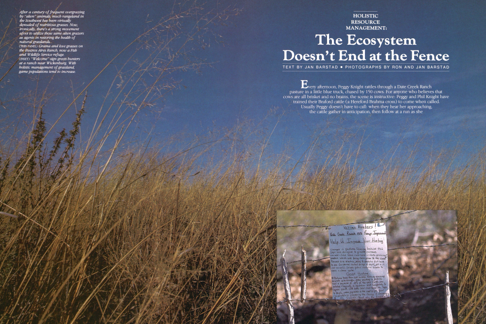 Grama and love grasses on the Buenos Aires Ranch, now a Fish and Wildlife Service refuge.