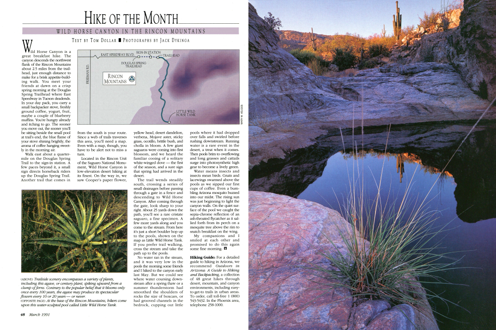 Trailside scenery encompasses a variety of plants, including this agave, or century plant, spiking upward from a clump of ferns. Contrary to the popular belief that it blooms only once every 100 years, the agave may produce its spectacular flowers every 10 or 20 years or never.