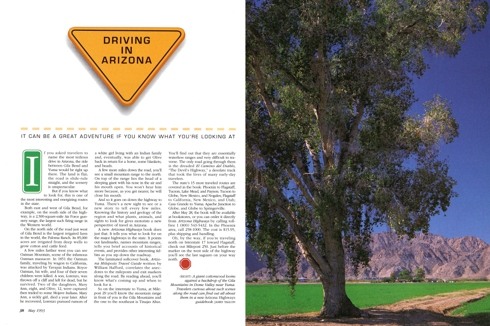A giant cottonwood looms against a backdrop of the Gila Mountains in Dome Valley near Yuma.