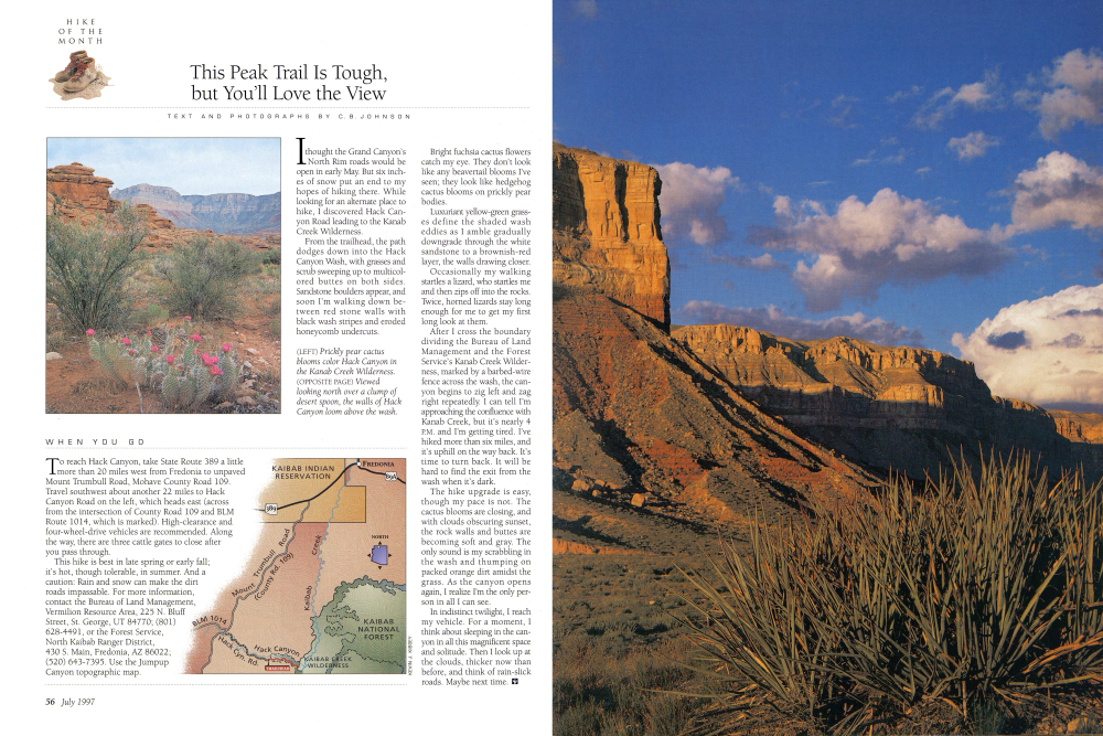 Prickly pear cactus blooms color Hack Canyon in the Kanab Creek Wilderness.