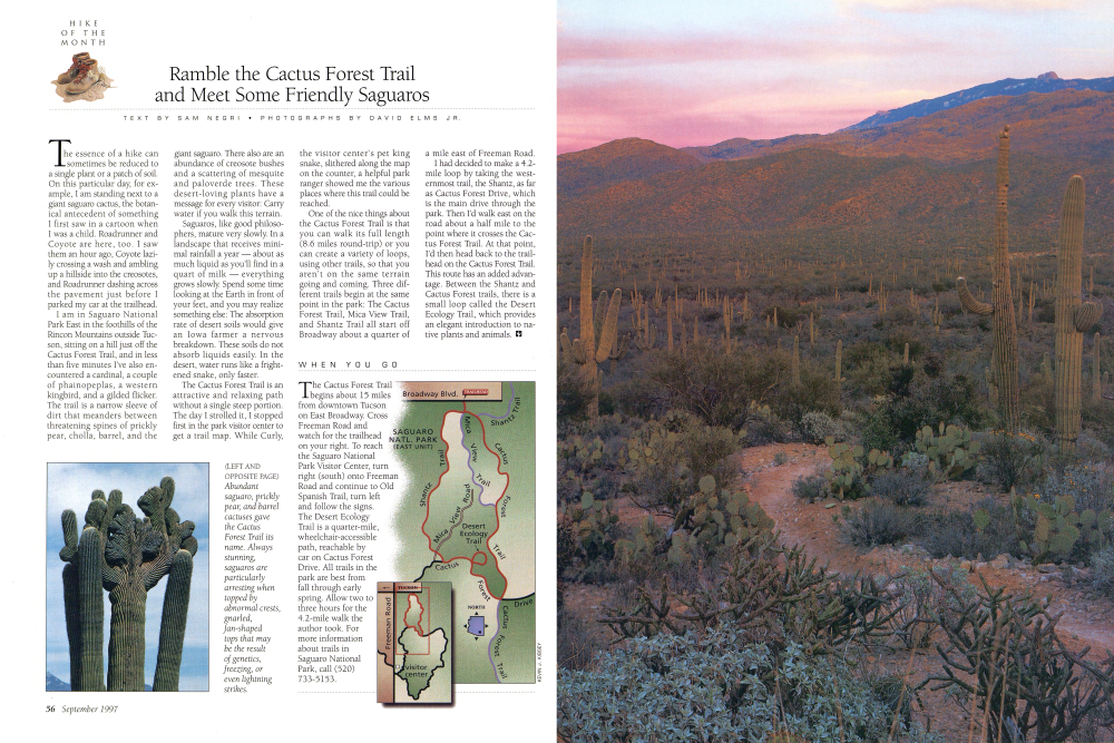 The Cactus Forest Trail begins about 15 miles from downtown Tucson on East Broadway.
