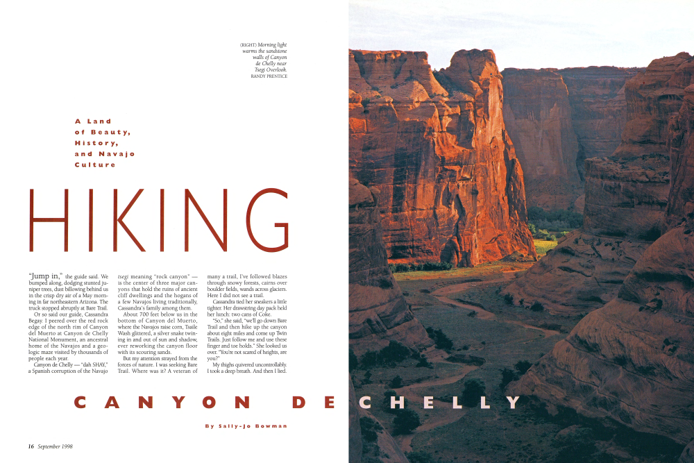 Morning light warms the sandstone walls of Canyon de Chelly near Tsegi Overlook.