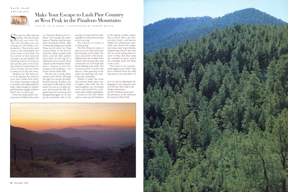 Sunrise illuminates the magnificent view along the road to 8,700-foot West Peak in the Pinaleno Mountains.