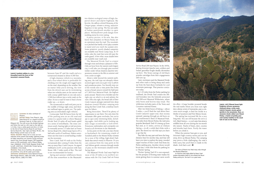 Jumbled cobbles in a dry streambed mark the force of the mountain's seasonal floods.
