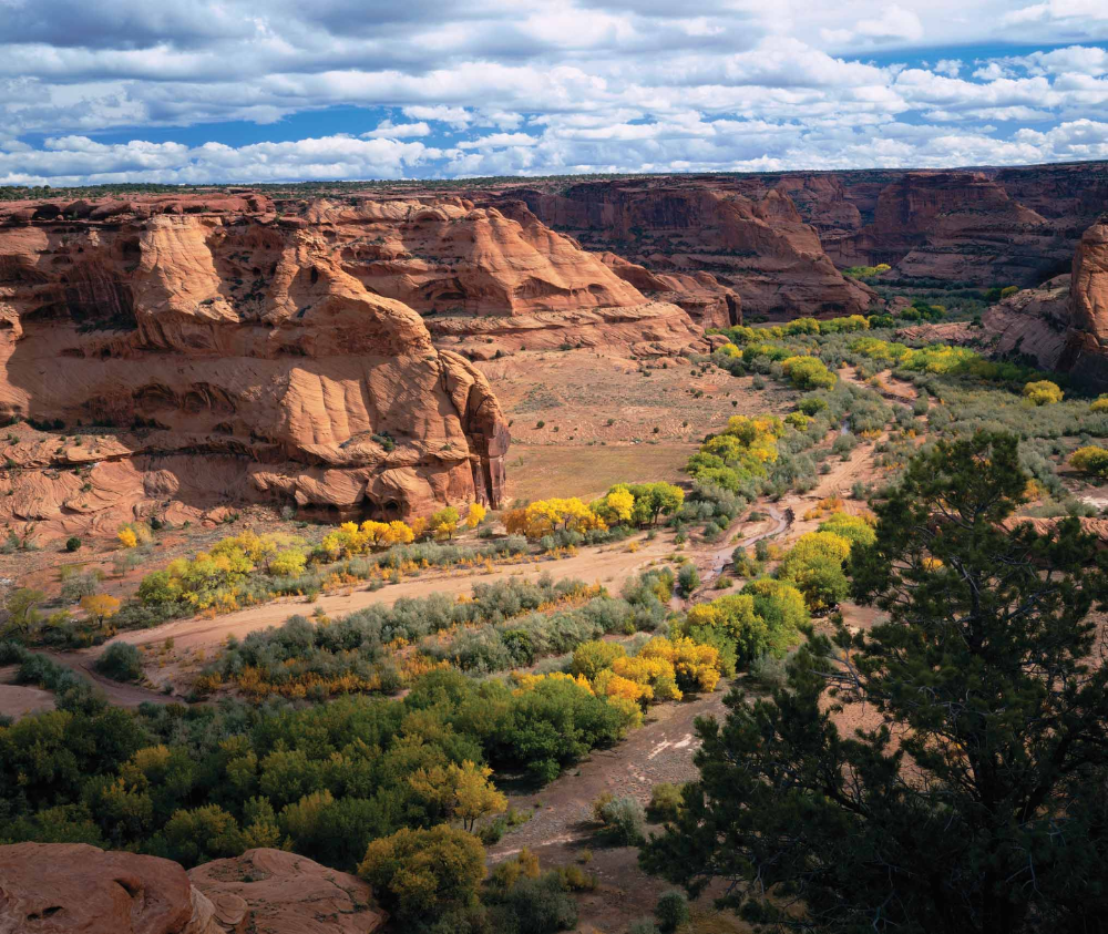 Viewed from Junction Viewpoint, cottonwood trees arrayed in autumn color wind through Canyon de Chelly on the Navajo Indian Reservation in northeastern Arizona, where the natural beauty stands in contrast to the Navajos' harsh treatment there by the U.S. Army in the 1860s.