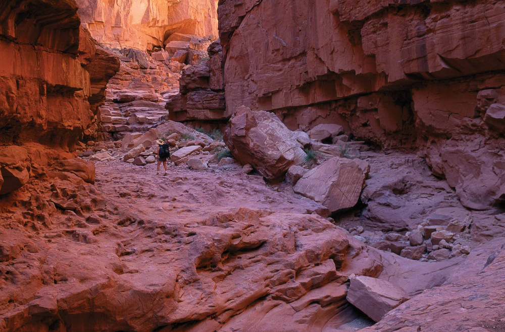 RIDER CANYON poses a challenge
in reaching the Colorado's
HOUSE ROCK RAPIDS