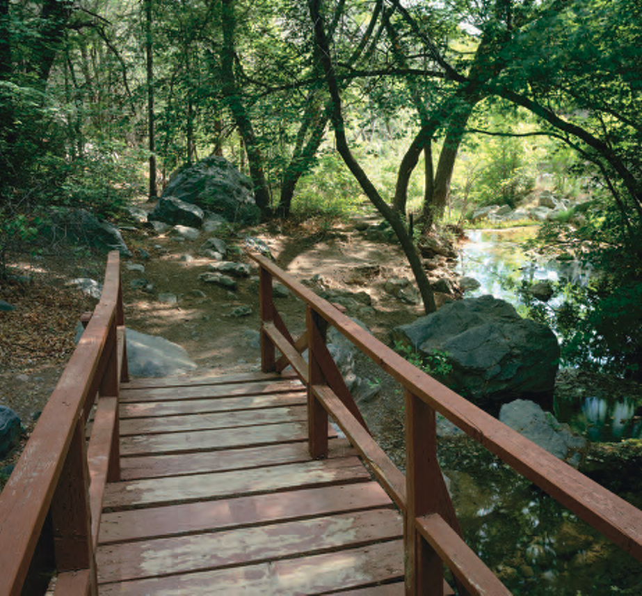 Crossing Garden Creek by footbridge leads visitors to the Garden Canyon pictograph site with red and black paintings dating to A.D. 1300 and Apache paintings from the 1700s.