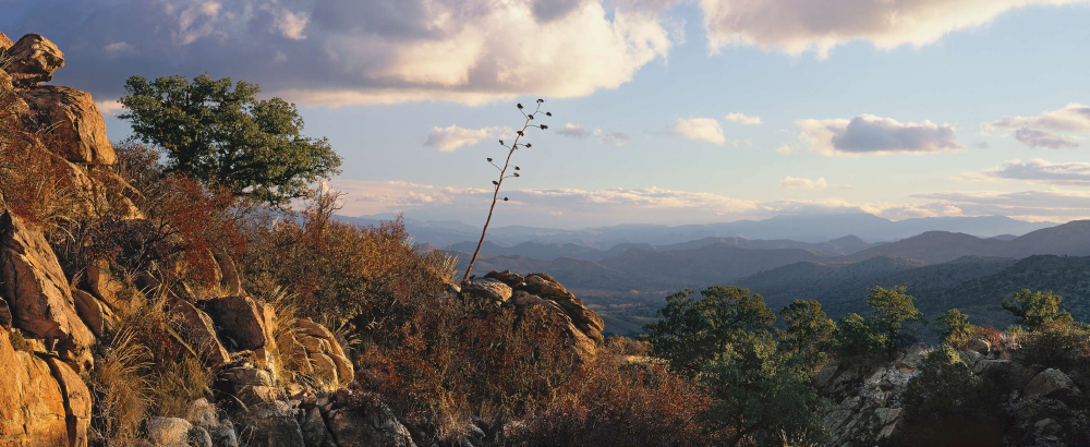 The Rincon Mountains' Happiest Valley