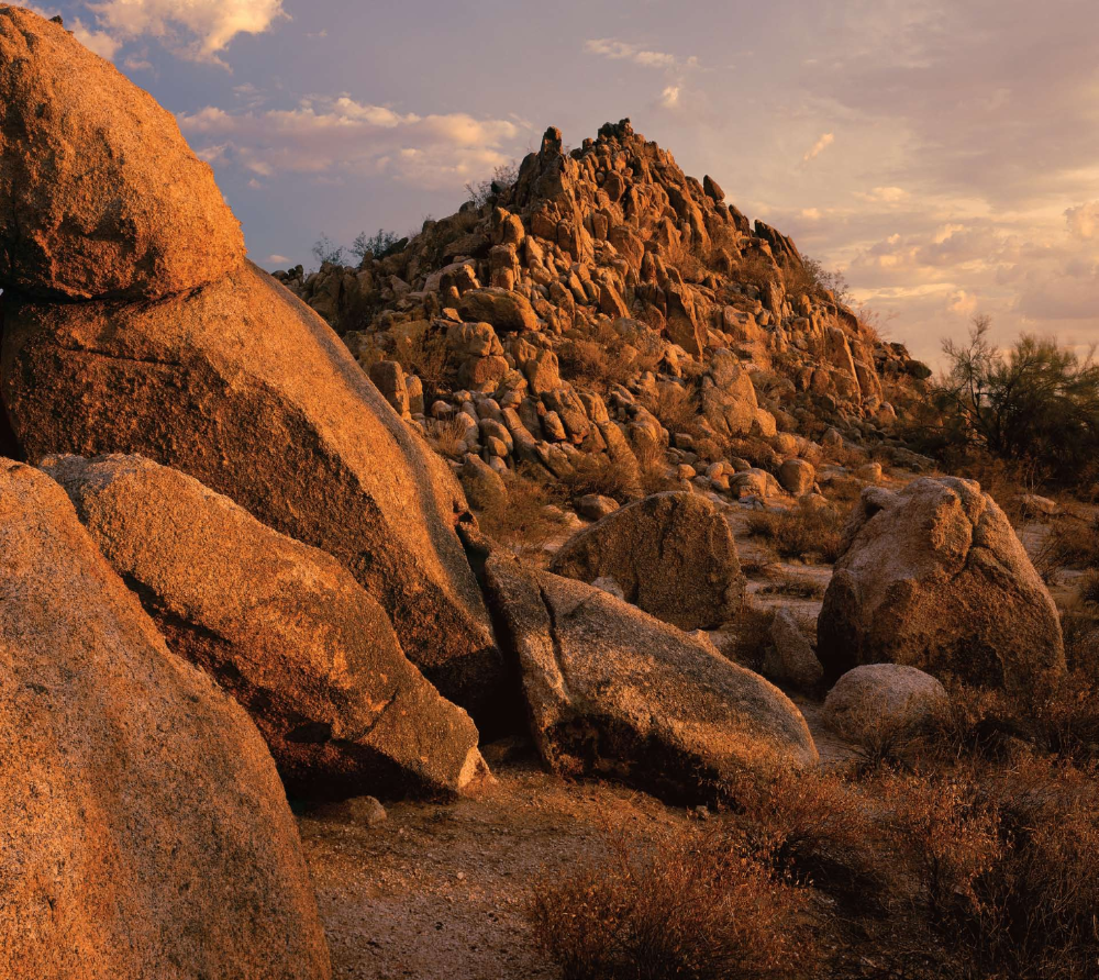 A Story of Determined Love