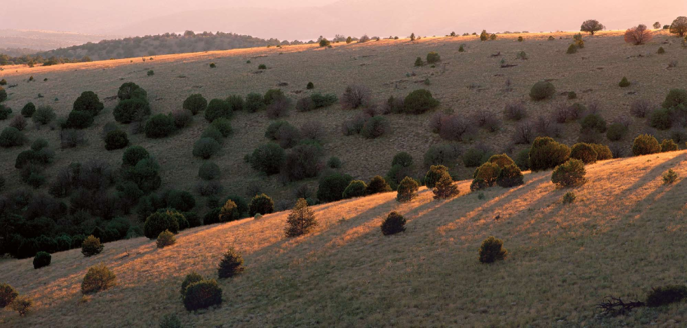 Quiet Retreat to Greenlee County