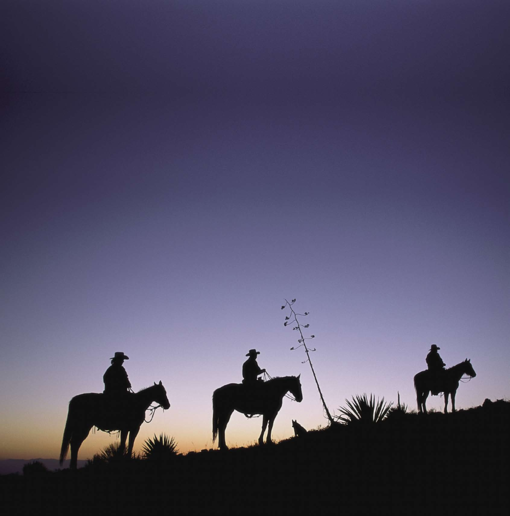 City-slicker Getaways